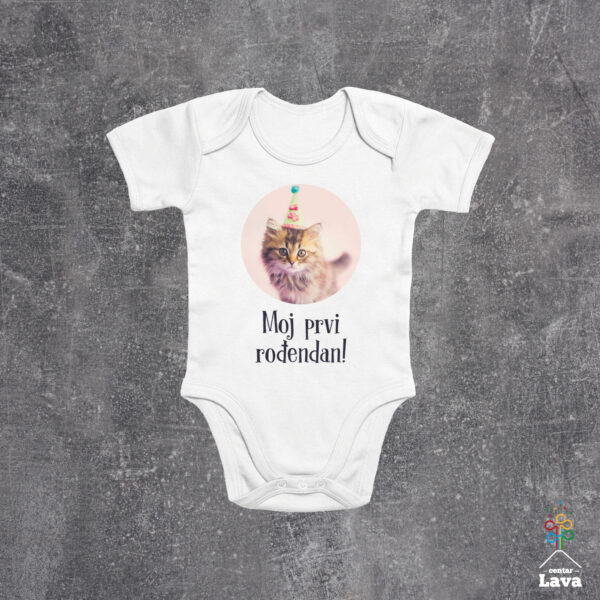 Moj prvi rođendan maca