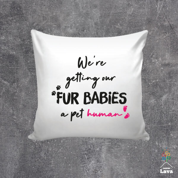 We are getting our fur babies a pet human